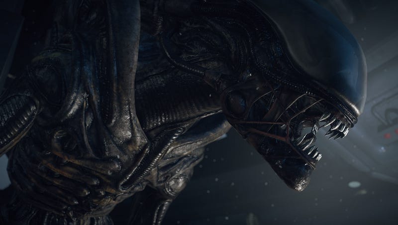 Narramblings #7: No place to hide